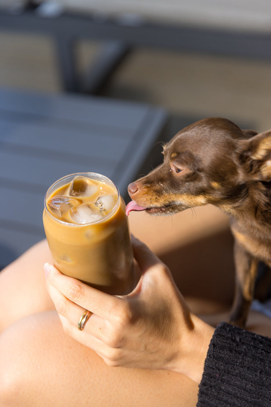 Iced Urban Calm mushroom coffee recipe
