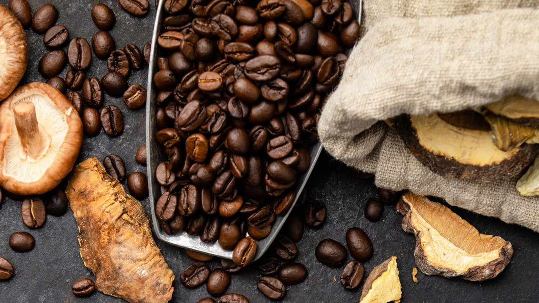 arabica coffee blended with mushroom extract for mushroom coffee in Calgary