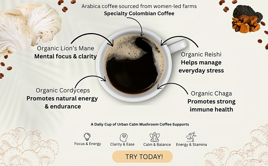 Coffee Meets Mushrooms: Why Our Mushroom Coffee Blends Taste So Good - Urban Calm Coffee