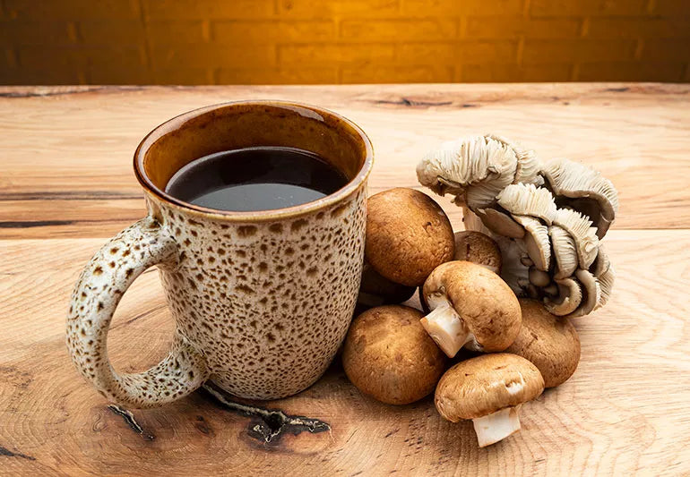 The Truth About Mushroom Coffee: Why Urban Calm Coffee’s Blends Are Your Wellness Game-Changer - Urban Calm Coffee