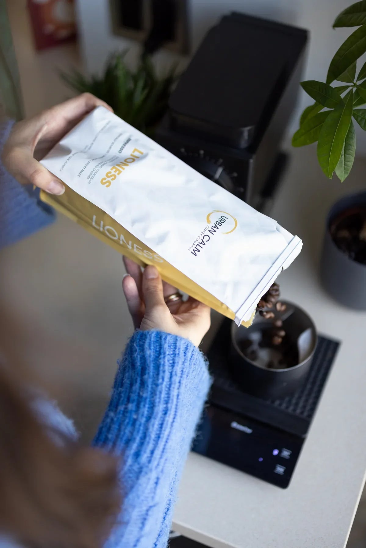 Lioness espresso specialty coffee beans being poured into a grinder