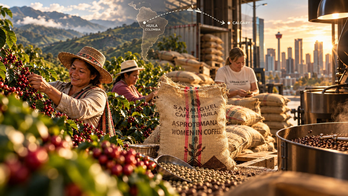 Coffee traceability journey from Huila Colombia to Calgary
