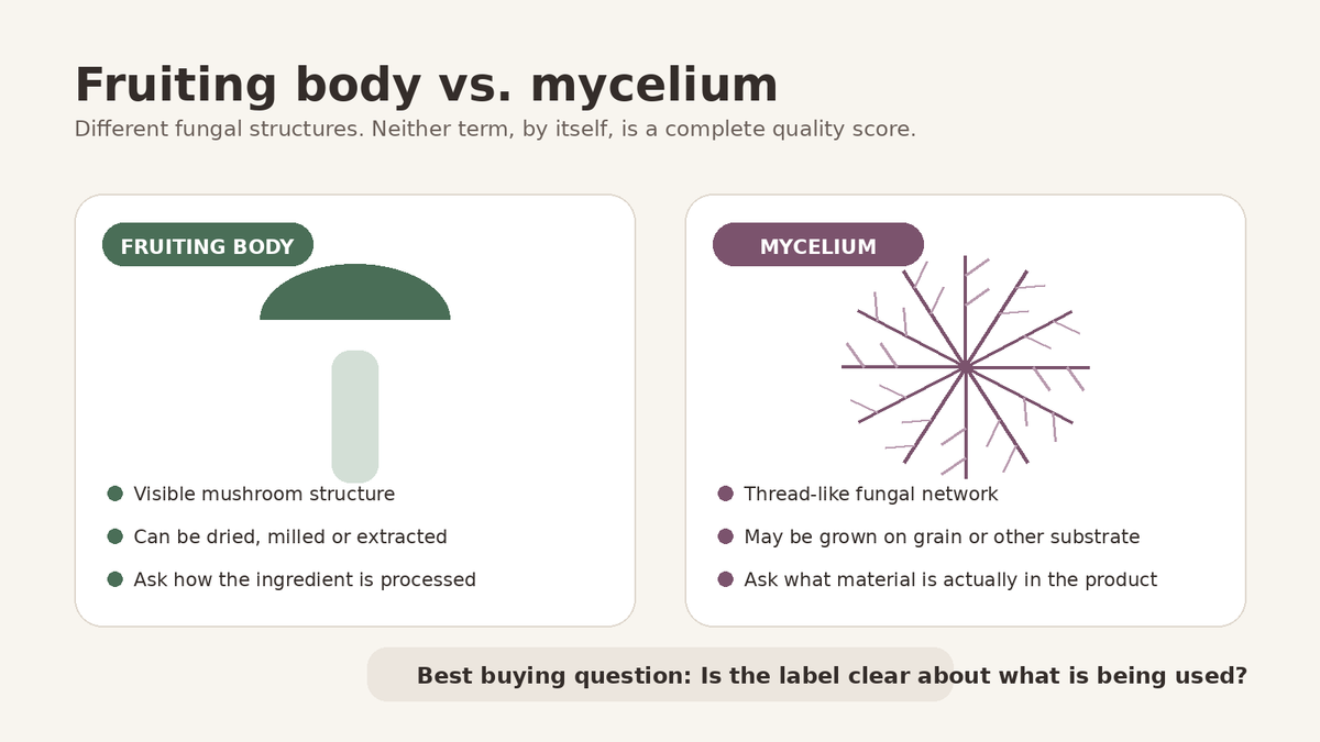 Fruiting body vs mycelium in mushroom coffee label guide