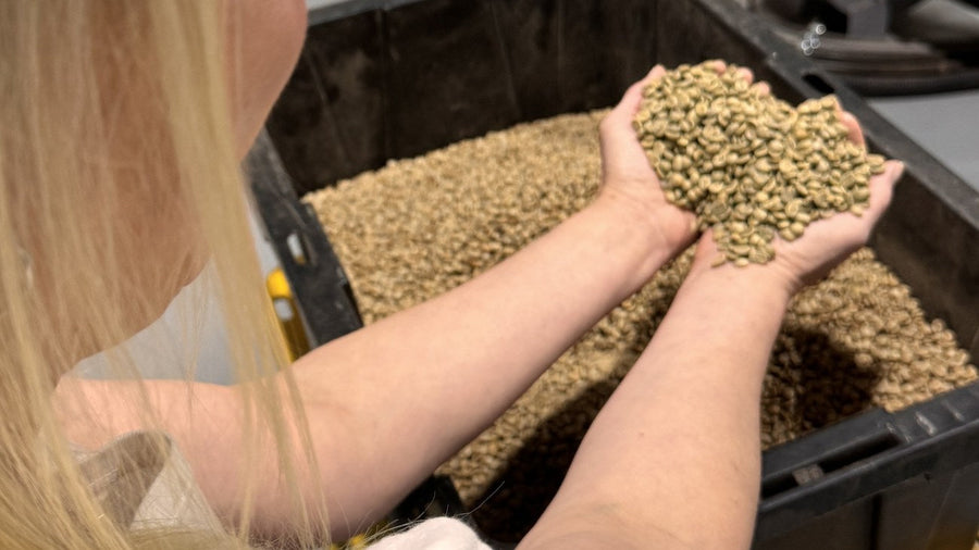 Green coffee handling before roasting at Urban Calm
