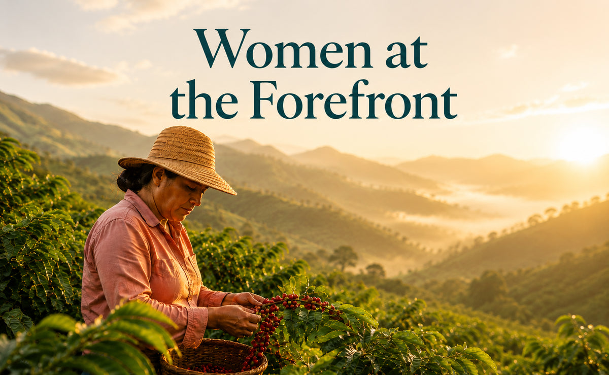 Women-led coffee farming in the Colombian highlands behind Urban Calm Coffee