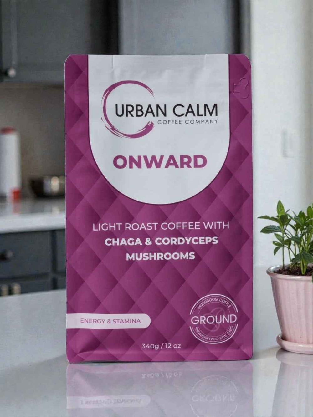 Onward Light Roast Mushroom Coffee | Chaga & Cordyceps