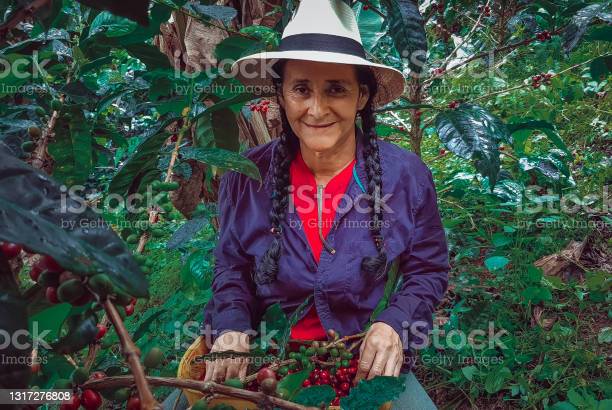 Woman in purple top smiling while holding a coffee cup, evoking calm and everyday wellness