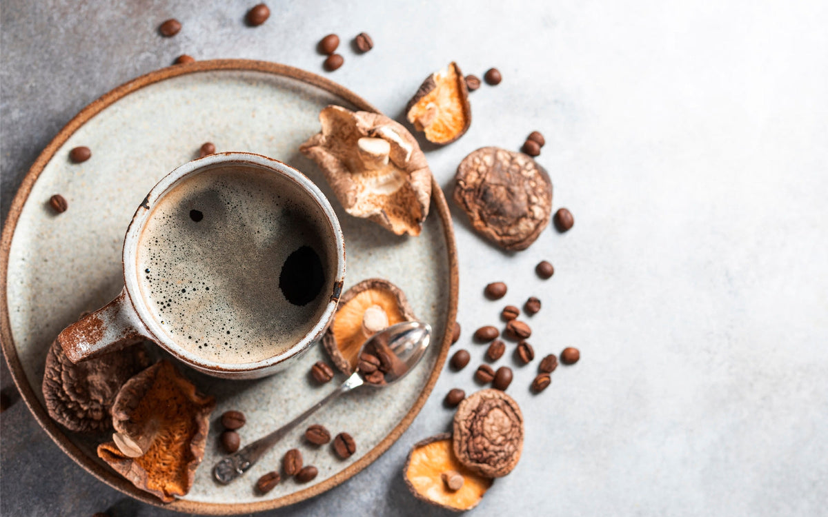 Urban Calm mushroom coffee collection