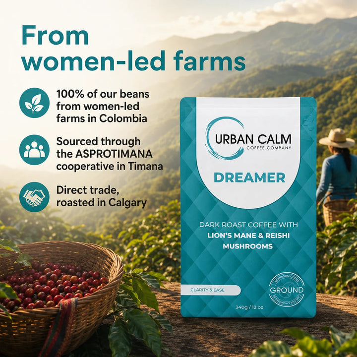 Dreamer mushroom coffee sourced from women-led Colombian coffee farms