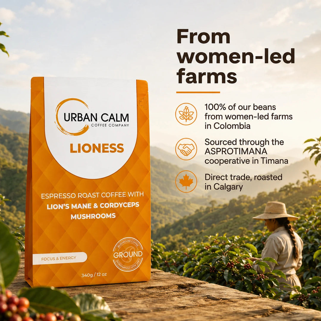 Lioness mushroom coffee sourced from women-led Colombian coffee farms