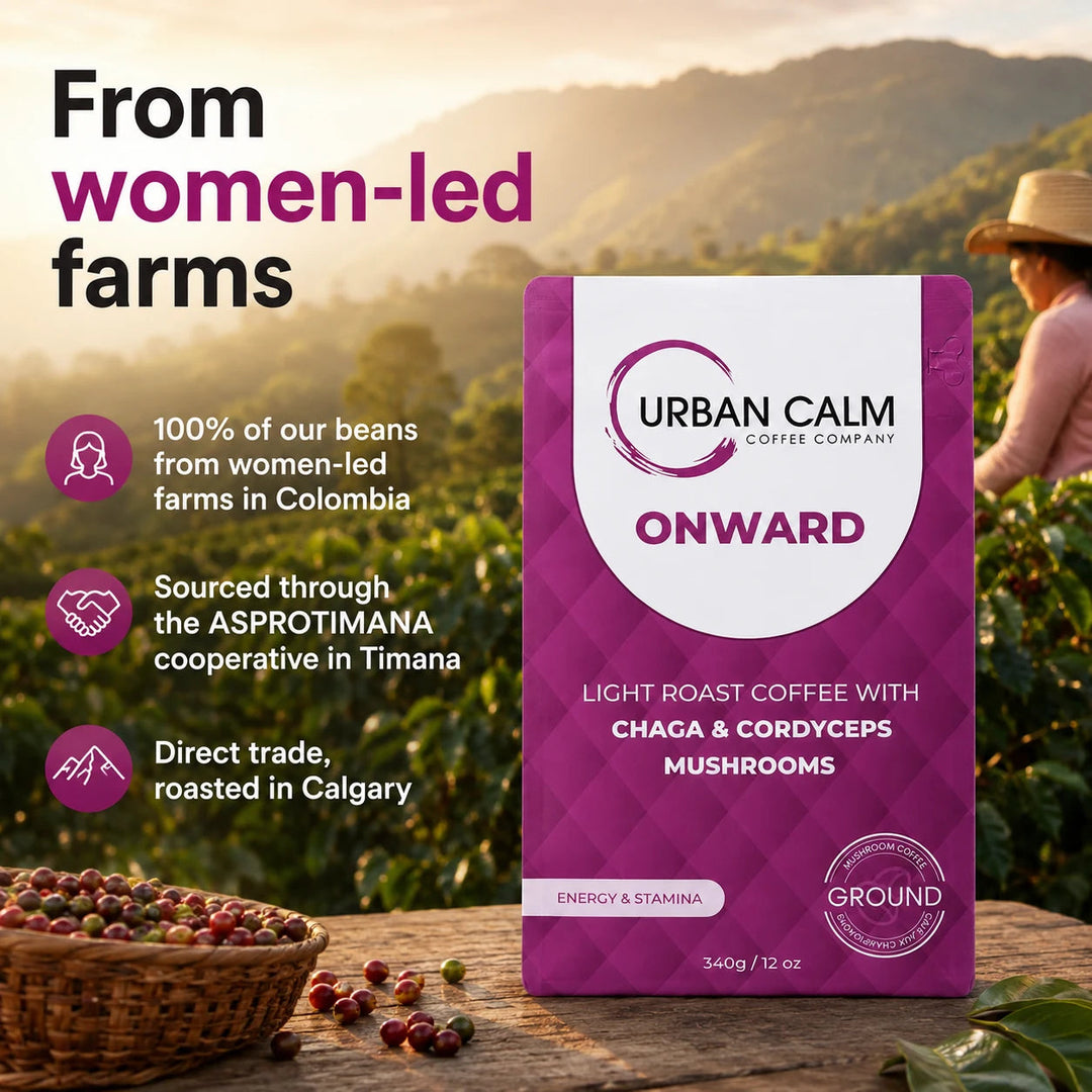 Onward mushroom coffee sourced from women-led Colombian coffee farms