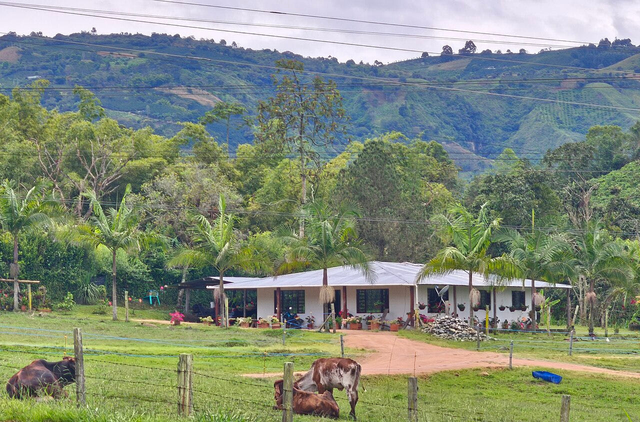 Coffee farm in Huila, Colombia