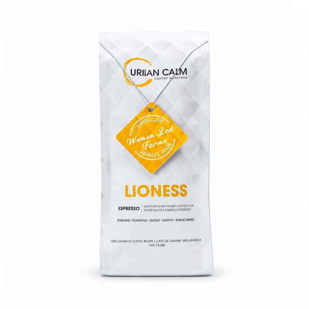 Lioness Espresso regular coffee bag on solid white background