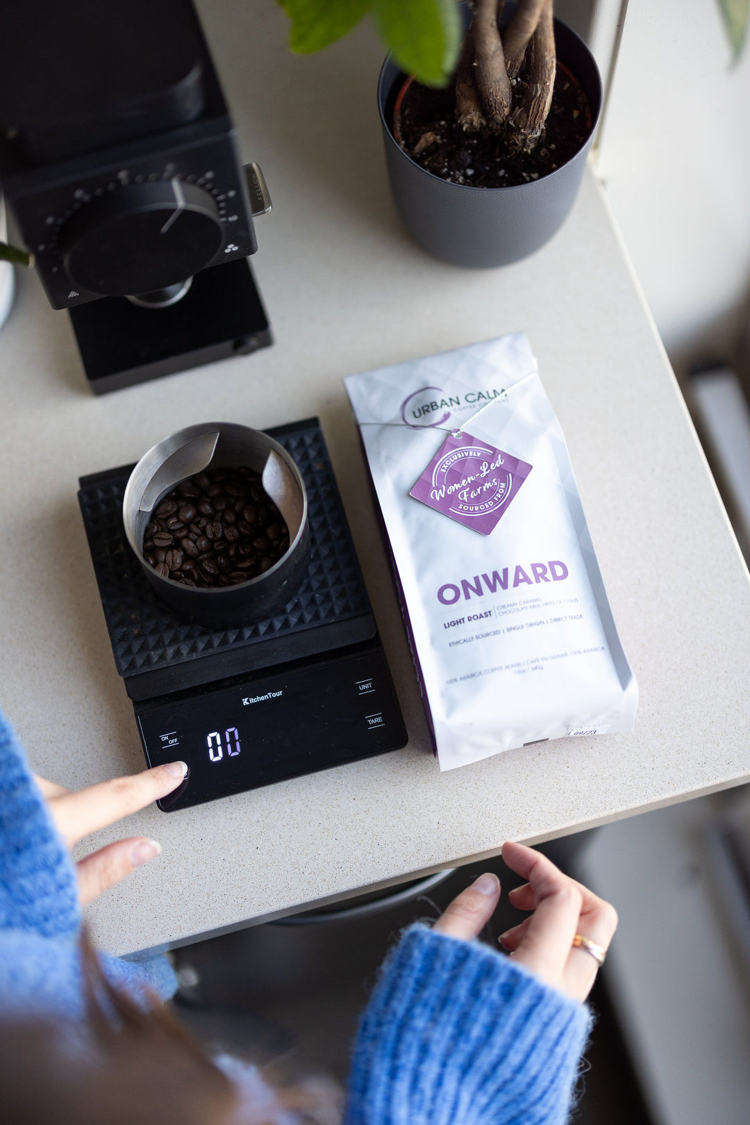 Onward light roast regular coffee beans being measured before brewing