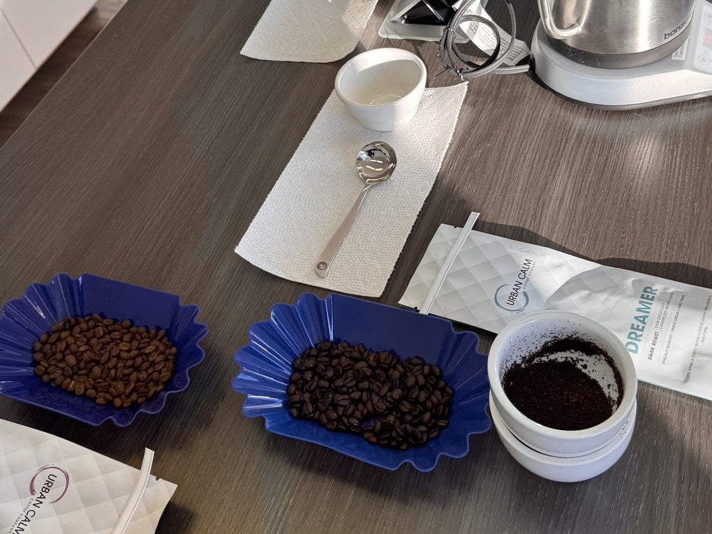 Urban Calm coffee cupping with roasted beans and brewing setup