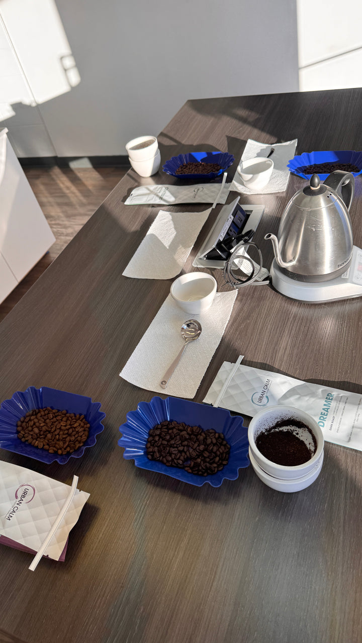 Urban Calm coffee cupping and roast sampling setup